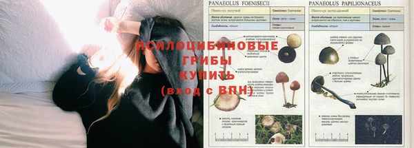 тгк Балахна