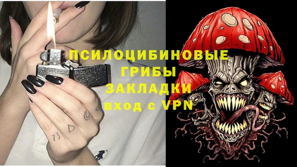 тгк Балахна