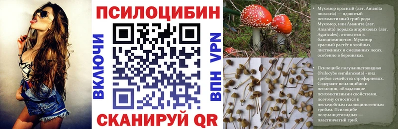 Галлюциногенные грибы Magic Shrooms  сколько стоит  Ессентуки 
