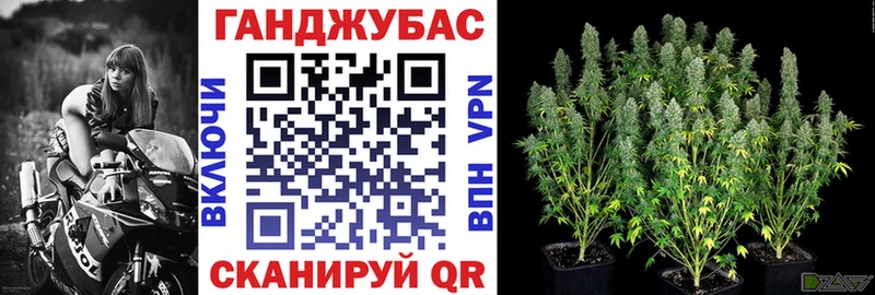 Каннабис планчик  OMG ССЫЛКА  Ессентуки 
